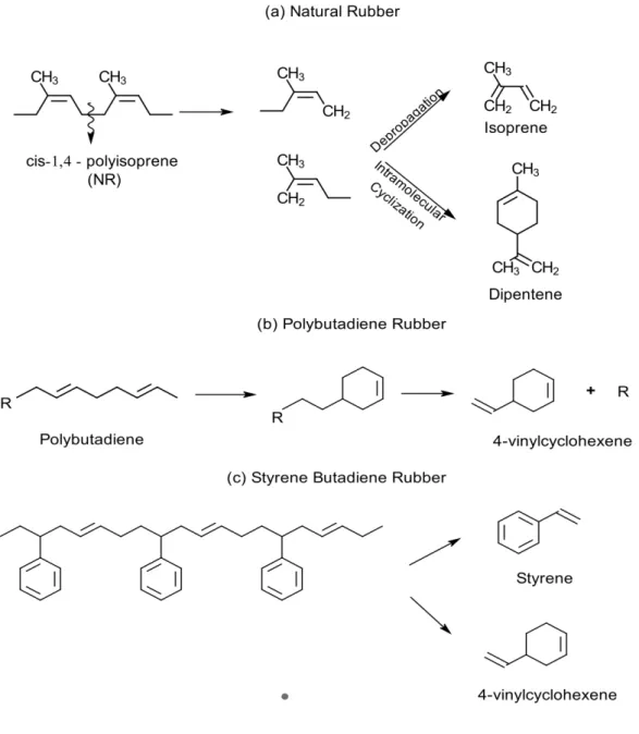 Figure  9.  Main  monomers  produced  by  pyrolysis  for  each  polymer  present  in  the   STR  sample:  (a)  NR,  (b)  BR  and  (c)  SBR