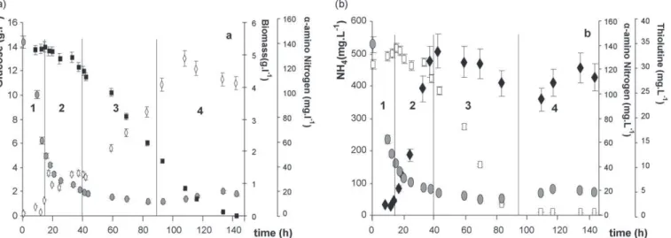 Fig. 5. Batch culture of Sa. algeriensis on a semi-synthetic medium (glucose 15 g L −1 , YE 2 g L −1 , uracil 20 mM) at 30 ◦ C, pH 7, 0.5 vvm and 250 rpm