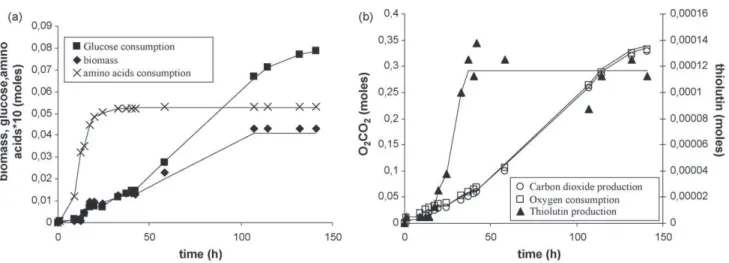 Fig. 7. Calculated values (lines) versus experimental values (points) for biomass, glucose and amino acids (a) and thiolutin, oxygen and carbon dioxide (b) for a batch culture of Sa