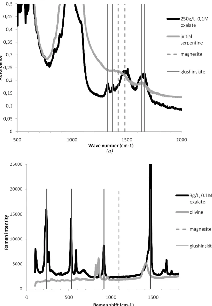 Figure 3 – Examples of DRIFT and RAMAN spectra used to confirm carbonate and glushinskite  precipitation: (a) serpentine, 250 g/L water   with 0.1M oxalate, (b) olivine, 3 g/L water   with 0.1M  oxalate