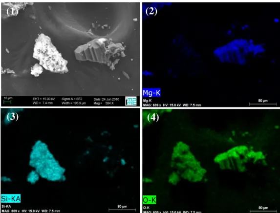 Figure 4 - Example of SEM/EDX images for reaction products with 3 g/L water  of olivine and 0.1M  oxalate: (1) SEM image, (2) Magnesium EDX map, (3) Silica EDX map, (4) Oxygen EDX map