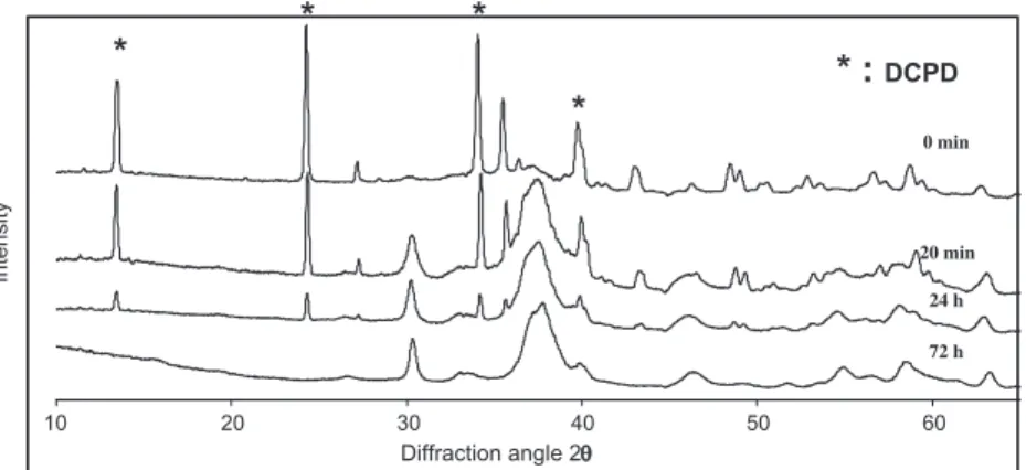 Fig. 12. Schematic representation of the setting reaction of ACP–DCPD cements ( a -BSM Ò , Etex Corp.) involving rapid hydrolysis of ACP into apatite during the ﬁrst 20 min after paste preparation