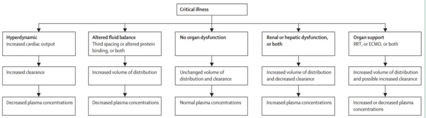 Figure 1: Effets des altérations de la physiopathologie en réanimation sur les concentrations de médicaments 