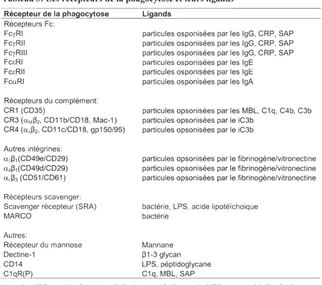 Tableau 3: Les récepteurs de la phagocytose et leurs ligands 