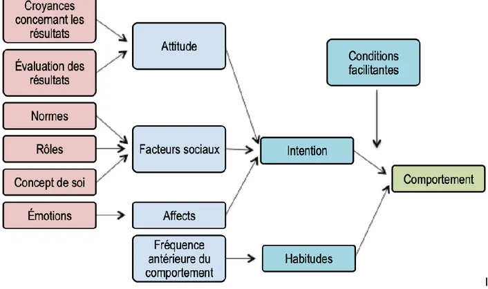 Figure 4. Schéma de la théorie des comportements interpersonnels de Triandi  