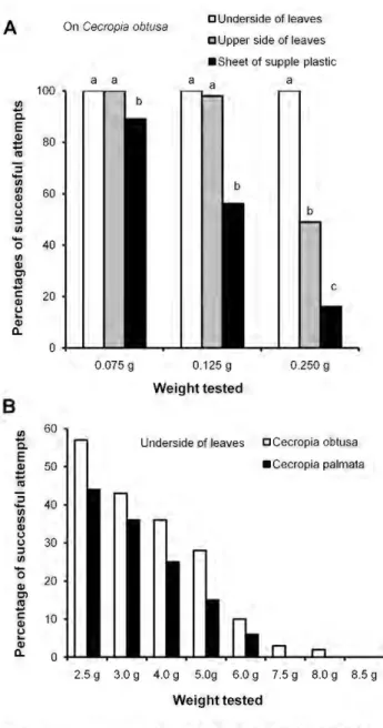 Figure  3.  Percentllges  of cases  when  hunting  Azteca  andTNe  workers  are able  to  hold  onto different  weights