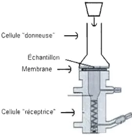 Figure 7 : Cellule de  Franz (réceptrice) et cellule  de  départ (donneuse)  pour l'étude de  la  pénétration  membranaire de  médicaments