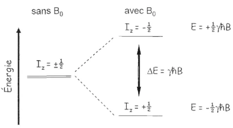 Figure 12  : Niveaux d'énergie pour un noyau de spin  %  avec ou  sans B o  (Marcotte,  2008)