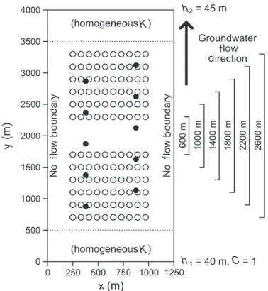 Figure 1. Model setup and location of pumping wells (black circles) and tracer observation wells (white circles)