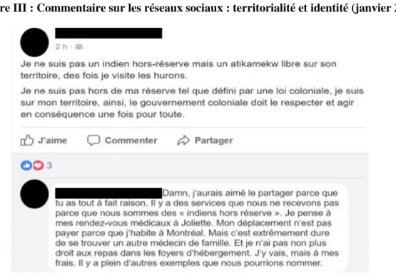 Figure III : Commentaire sur les réseaux sociaux : territorialité et identité (janvier 2018) 