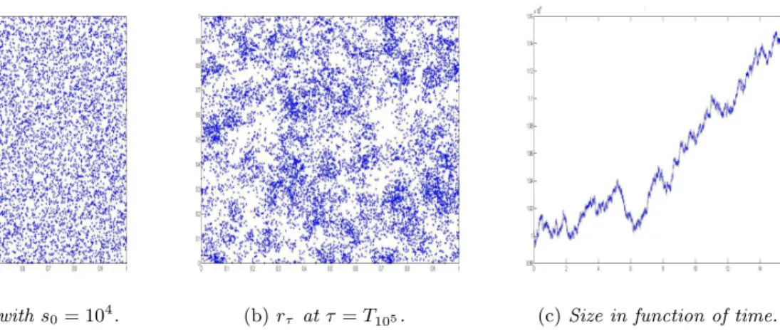 Figure 3.4 – Figures shown (a) the high initial state s 0 = 10000, (b) the final state of the random network r τ and (c) the evolution of the number of members in function of time (during 10 5 updates) using our Monte Carlo scheme with parameters v r = 1, 