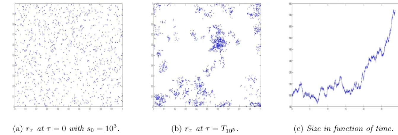 Figure 3.3 – Figures shown (a) the medium initial state s 0 = 1000, (b) the final state of the random network r τ and (c) the evolution of the number of members in function of time (during 10 5 updates) using our Monte Carlo scheme with parameters v r = 1,