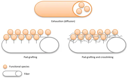 Figure	6	Functionalization	methods	(schematic)			