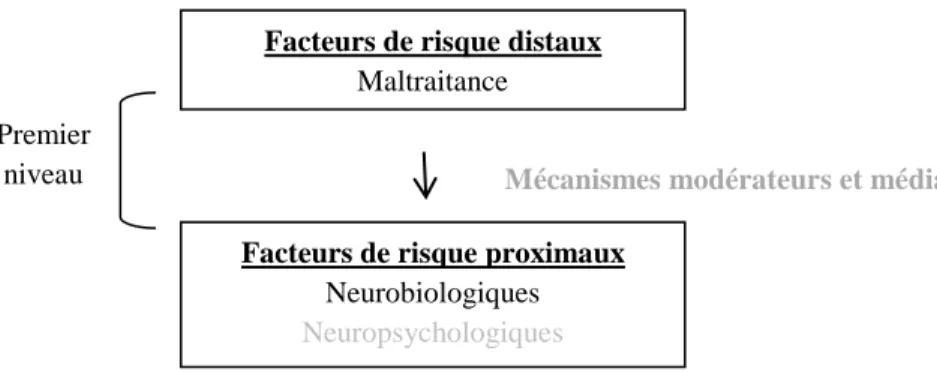 Figure 2. Premier niveau de l’adaptation du modèle de Nolen-Hoeksema et Watkins (2011)  selon les facteurs neurobiologiques  