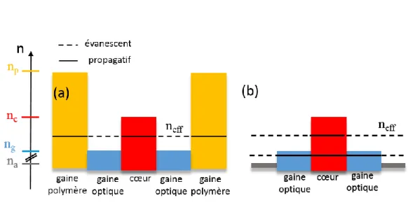 Figure  1-17:  Coupe  de  réfraction  d'une  fibre  standard  entourée  de  polymère  (a)  et  :  coupe  de  réfraction  d'une  fibre  standard entourée d’un milieu d’indice plus faible (type double gaine de laser de puissance) (b)