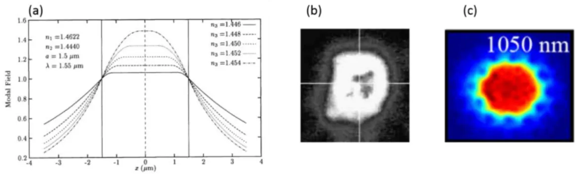 Figure  1-24:  Historique  du  mode  plat,  simulation  numérique  par  Gathak  et  al