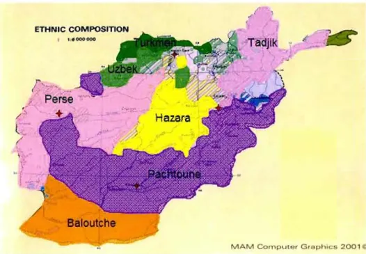 Figure 2.3 - Représentation des segmentations ethniques de  l'Afghanistan 