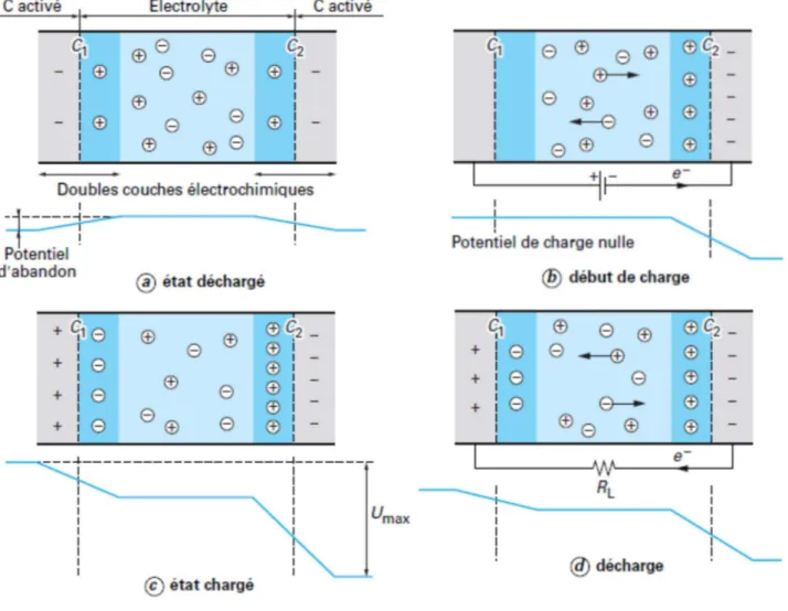 Figure II.2:  Représentation schématique du principe de fonctionnement d'un supercondensateur  à base de carbone activé [12] 
