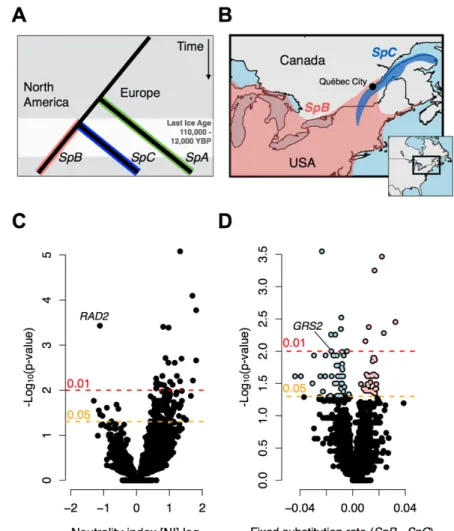 Figure  1.8.  1:  Geographic  distribution  and  rapidly  evolving  genes  in  the  S