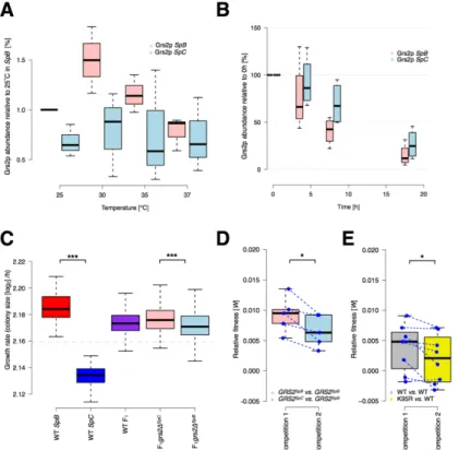 Figure 1.8. 3: Expression level and contribution to fitness of Grs2p in the SpB  and SpC lineages