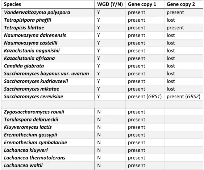Table  S  1.9.  8:  Synteny  approach  shows  the  frequent  loss  of  the  GRS2- GRS2-equivalent  paralogs  in  other  post-WGD  species  with  the  exception  of  S