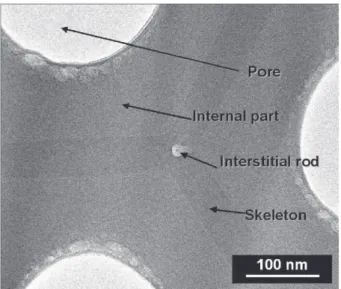 Fig. 3 – FEG-TEM plan view of a phosphoric anodic film, showing its different parts (the skeleton, the internal part and the interstitial rod).