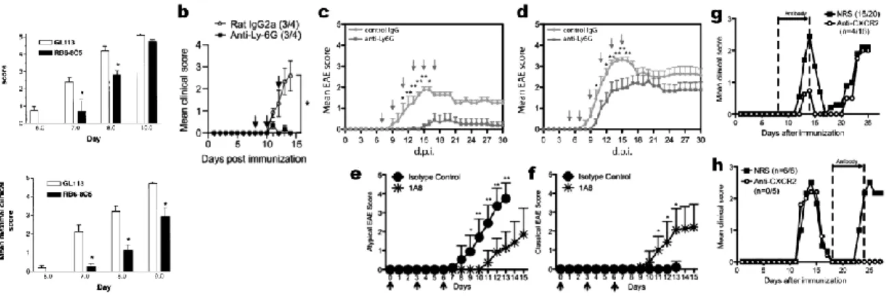 Fig. 0.5  Depletion of neutrophils reduces EAE severity. a, depletion with anti-Gr-1; bcdef,  depletion with anti-Ly6G; g, h, inhibition of CXCR2 has an effect reminiscent of neutrophil depletion