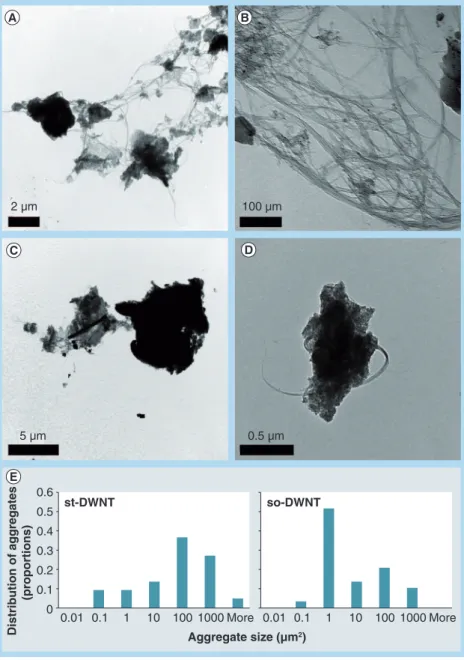 Figure 2. Transmission electron microscope photos and size  distributions of both sonicated and stirred double-walled carbon  nanotubes aggregates