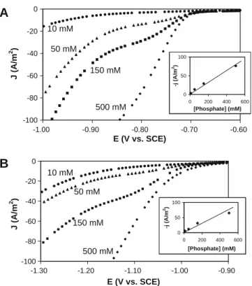 Fig. 1. Voltammetry (20 mV/s) on RDE (1000 rpm) in a pH 8.0 solution containing 0.1 M KCl and different concentrations of phosphate