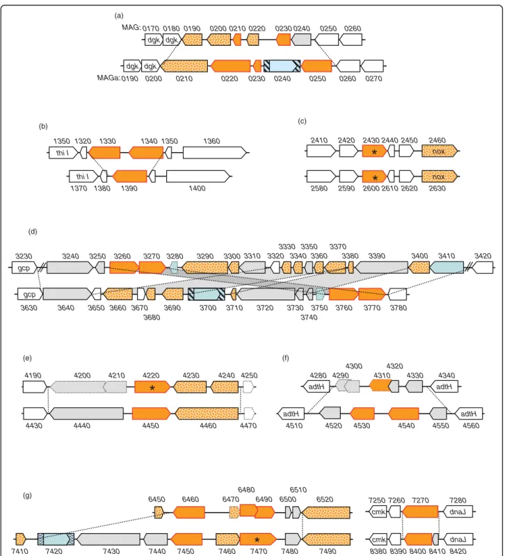 Figure 4 Comparison of M. agalactiae PG2 and 5632 revealed that the drp loci are sequence reservoirs for strain genetic and surface diversity