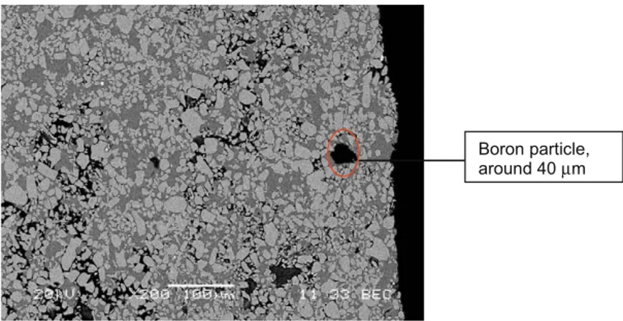 Fig. 1 shows a scanning electron microscope (SEM) image of an Al/TiB 2 layer containing around 50% weight of TiB 2 particles