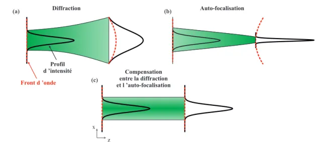 Figure 1.5  Illustration d'un paquet d'ondes optique soumis à (a) : la diraction ; (b) : l'auto- l'auto-focalisation ; (c) : la compensation de la diraction et de l'auto-l'auto-focalisation