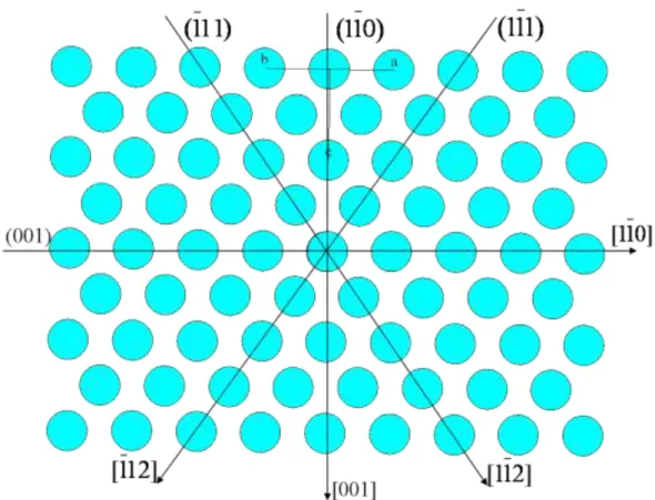 Figure II - 5 : Projection des atomes dans γ le long de la direction de type <110>