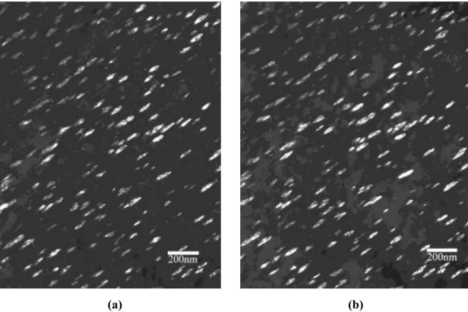 Figure IV - 4 : Micrographies des précipités obtenues en champ sombre en sélectionnant les  taches de diffraction 100 (a) et 1/210 (b)