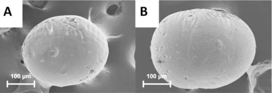 Fig. 2 displays the setting times of the composites according to their LMAP microsphere weight ratio