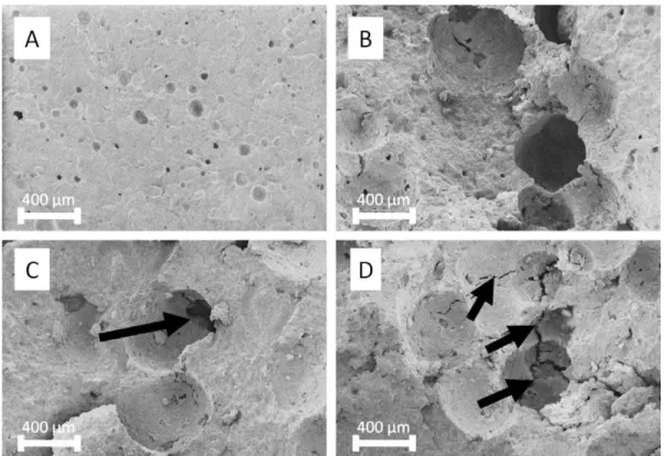 Fig. 6 displays SEM micrographs of the inner surface of broken composites (Fig. 6B–D) to compare with the CPC control (Fig