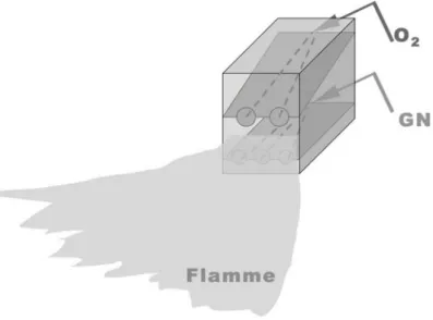 Figure 1.1 – Schéma du brûleur industriel à jets séparés ALGLASS FC TM .