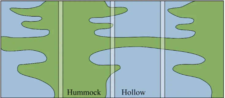 Figure 1.  Evolution pathways of hummock and hollow microforms through time (vertical axis) and space  (horizontal axis)