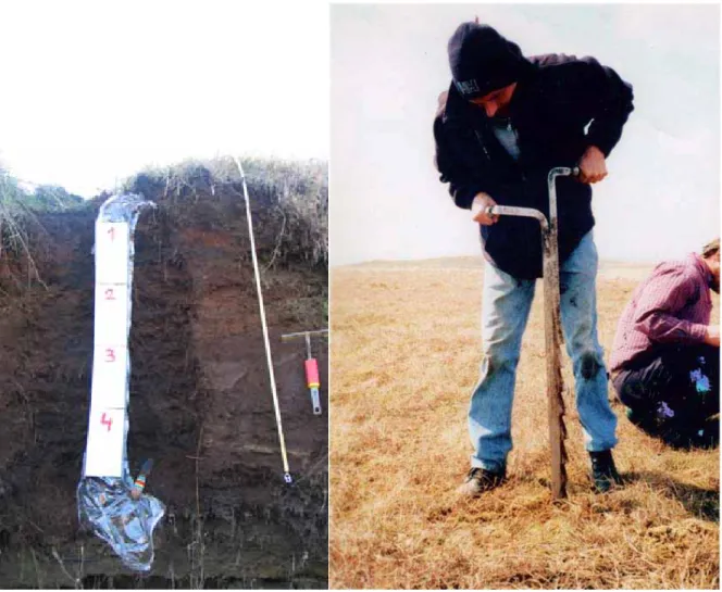 Figure 4. Left: collecting peat in north-east Iceland, from an exposed surface containing tephra