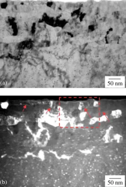 Figure 3 shows transmission electron micrographs of an ultramicrotomed section of the AA7075 T6 aluminium alloy that had been etched in 10 wt% NaOH solution
