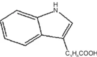 Fig. 1. Molecular structure of indole-3 butyric acid.