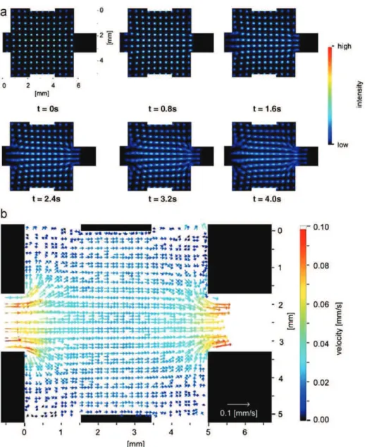 Fig. 9. Measurement of velocity fields in a micromixer using 2-dimensional MTV (Roetmann et al., 2008; reproduced with permission)