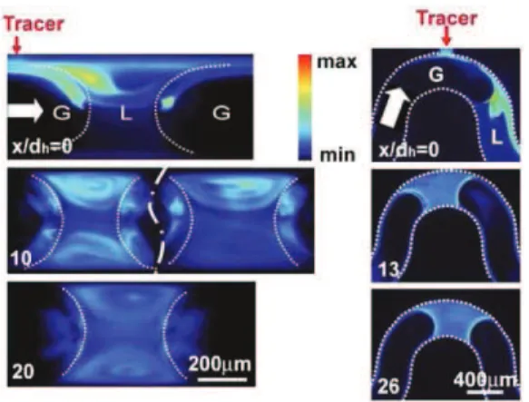 Fig. 12. Characterising mixing quality by the dilution of a fluorescent tracer in the liquid phase of a gas–liquid segmented flow in straight (left) and meandering (right) microchannels (G ¨unther et al., 2004; reproduced with permission)