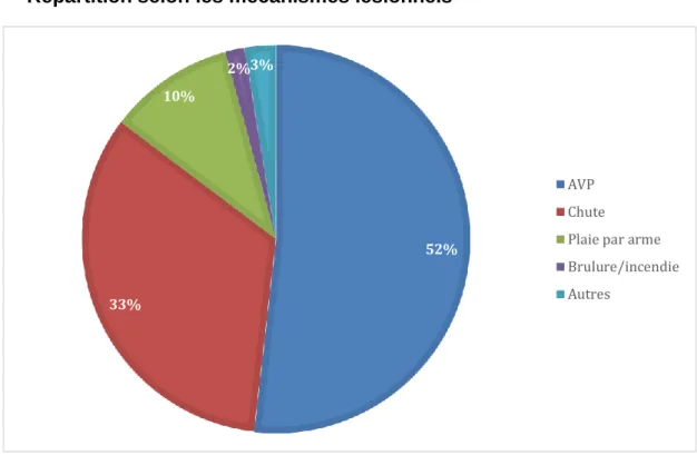 Figure 3  :  Répartition  de  la  population  selon  les  mécanismes  lésionnels 