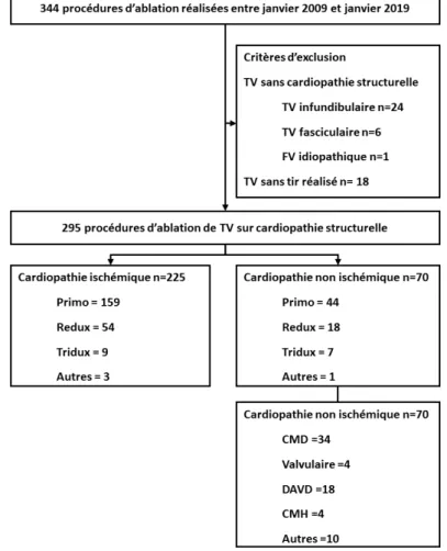 Figure  2 :  Diagramme  de  flux  des  patients  ayant  réalisé  une  ablation  de  tachycardie ventriculaire au CHU de Lille entre janvier 2009 et janvier 2019 