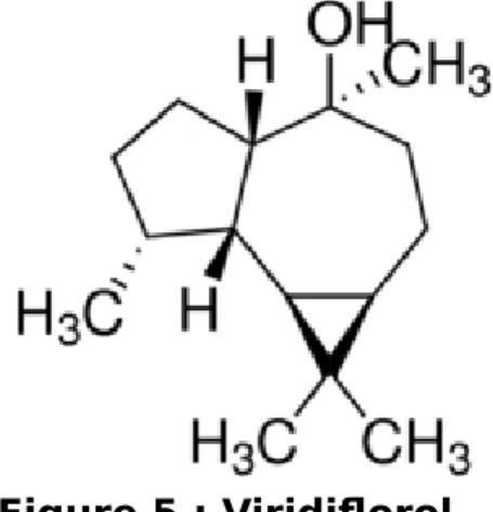 Figure 4 : Linalol