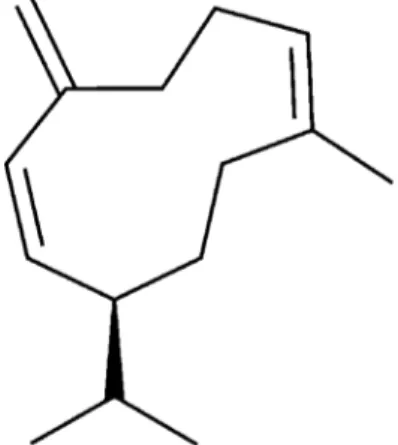 Figure 13 : Germacrène