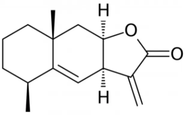 Figure 14 : Alantolactone 