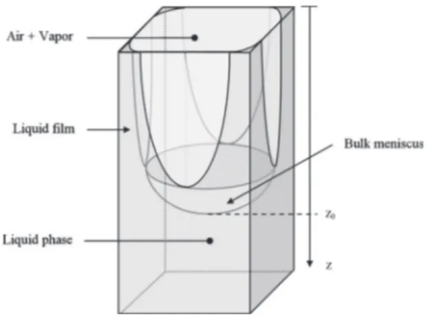 FIG. 1. Sketch of the thick liquid films in a capillary tube of square cross section. The bulk meniscus position is denoted as z 0 .