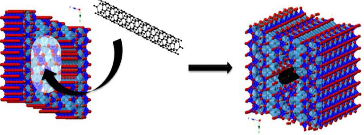 Fig. 3.2. Schematic view of the CNT’s insertion into the hole of C-S-H. 